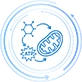 Energy Metabolism